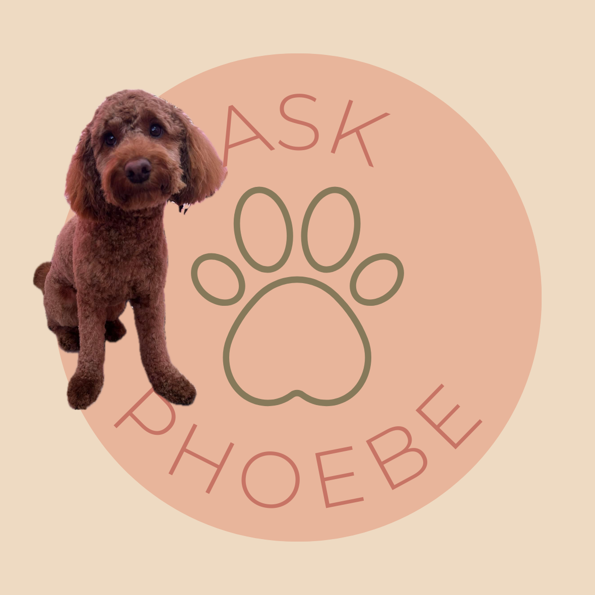 Ask Phoebe