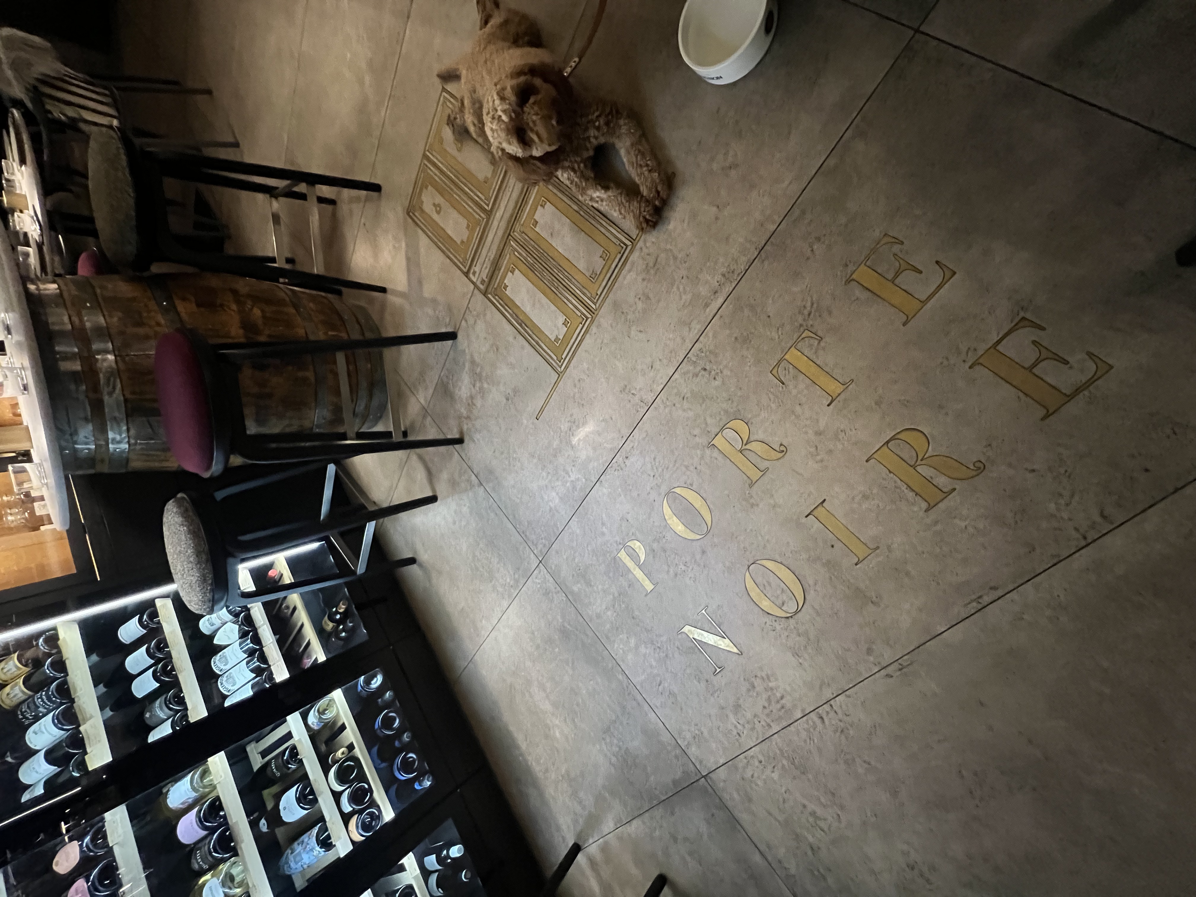 Dog-Friendly Bar