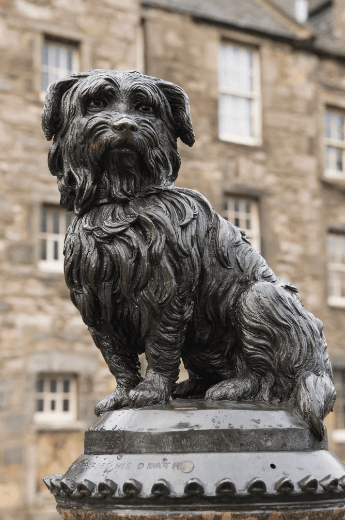 Dog statue in Edinburgh