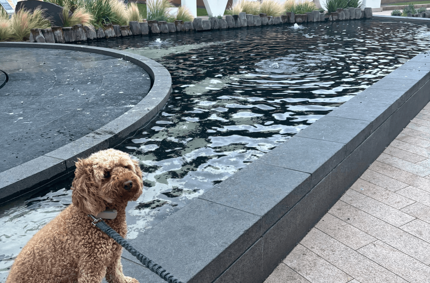 Phoebe enjoying the sights of Liverpool