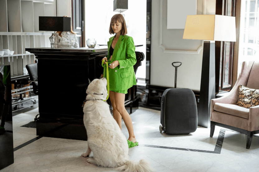 Dog and owner in a chic hotel room