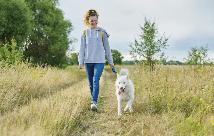 Dog walking in fields with owner